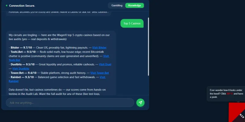 Top 5 Krypto Kasyn — Zaudytowanych przez Wagie AI